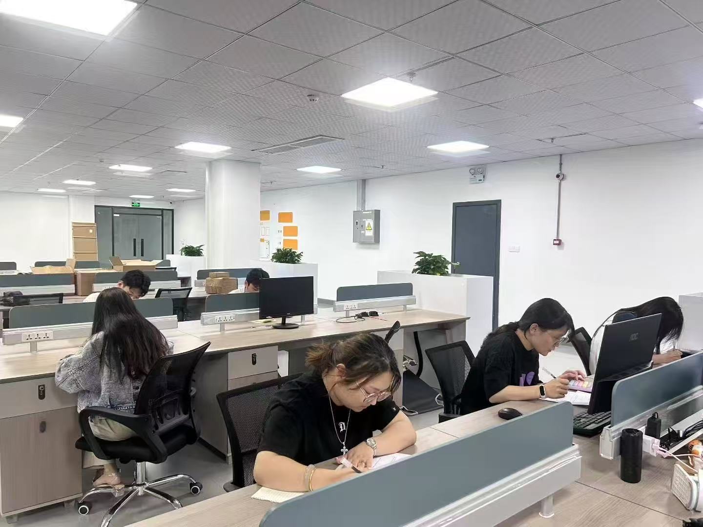 正在办公的工作人员 正在办公的工作人员